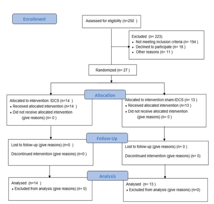 Summary of patient flow diagram.