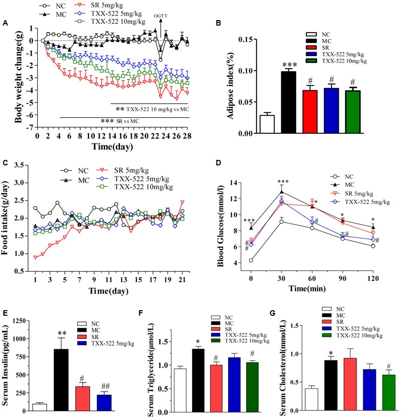 In vivo pharmacodynamic effects of TXX-522 and SR141716A in diet-induced obese (DIO) mice. (A) Body weight change was calculated individually and then averaged. (B) Intra-abdominal white adipose weight. (C) Food intake was calculated daily and then averaged. (D) Oral glucose tolerance testing was performed on treatment day 23 in overnight-fasted mice. (E) Fasted serum insulin. (F,G) Serum triglyceride and total cholesterol levels. Compounds were administered to DIO mice by oral gavage for 28 days. NC, normal control; MC, model control; SR, SR141716A. Data are means ± SEM of 8–9 animals per group. ∗P < 0.05, ∗∗P < 0.01, ∗∗∗P < 0.001 vs. NC group; #P < 0.05, ##P < 0.01 vs. MC group.