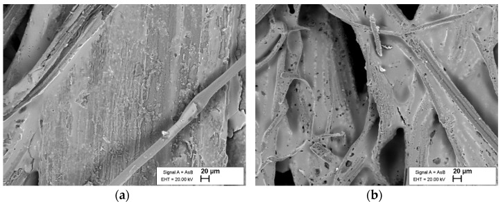SEM observation of the F1 coating on the hemp fibers: (a) untreated, (b) alkali-treated.