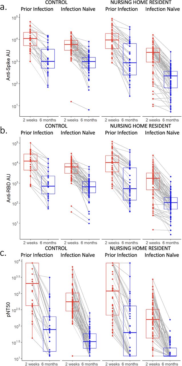 Antibody levels 2 weeks and 6 months after BNT162b2 mRNA vaccination in healthcare workers and nursing home residents, with and without SARS-CoV-2 infection prior to vaccination.Post-vaccination anti-spike arbitrary units (AU) (Figure 1a.), anti-receptor binding domain (Figure 1b), and pseudovirus neutralization (pNT50) (Figure 1c) are shown. Residents refers to NH residents and Control refers to younger healthcare workers. Prior infection refers to antibody levels at the given time points in individuals vaccinated after recovering from earlier SARS-CoV-2 infection, and infection naive refers to individuals vaccinated without prior SARS-CoV-2 infection. Geometric means in each group were assessed using paired t-tests of log-transformed values among subjects with both measures present. P values comparing the difference between 2 weeks and 6 months in all clinical groups were p<0.001. Subjects with large increases (>100%) of anti-spike, anti-RBD, or neutralizing titers from 2 weeks to 6 months were excluded due to presumed SARS-CoV-2 infection after vaccination.