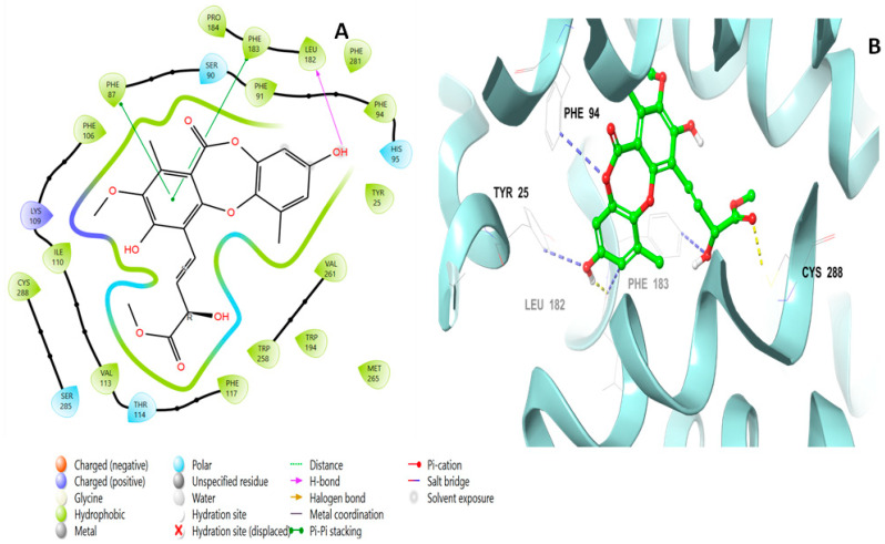 Putative binding mode of boremexin C (161) at the binding site of CB2 receptor (PDB-ID: 6KPF). Boremexin C (161) is displayed as green sticks. H bonds are displayed as yellow dotted lines, and ionic bonds as blue dotted lines. (A) Two-dimensional view; (B) three-dimensional view of CB2 complexed with boremexin C (161).