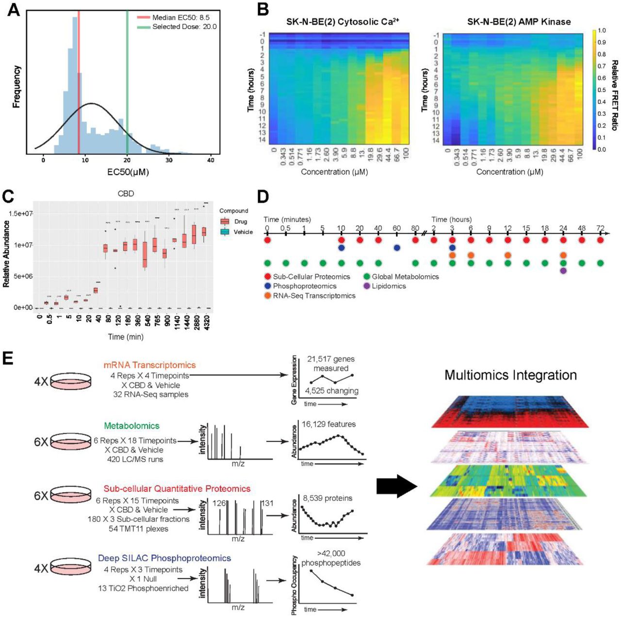 FRET biosensor screening strategy for dose and time selection of multi-omic CBD perturbation analysis.(A) EC50 distribution of CBD treatment across all sensors and time points (See also Table S1 for list of sensors). Dose response curves were fit to determine EC50 values (R2 values > 0.75) (B) Heat maps of FRET biosensor responses to CBD treatment for cytosolic Ca2+ and AMPK activity in SK-N-BE(2) cells, displaying FRET ratio over time at CBD doses from 343 nM to 100 µM. (C) Relative abundance of CBD over time from metabolomic profiling of SK-N-BE(2) cells treated with 20 µM CBD. (D,E) Time course schematic of multi-omic experimental strategy.