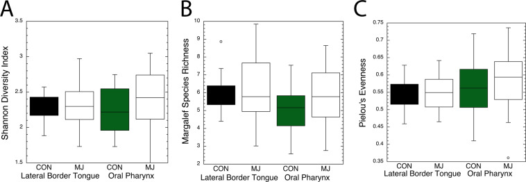 Boxplots of Shannon Diversity Index, Margalef Richness, and Pielou’s Evenness compare marijuana nonusers and marijuana (MJ) users for taxa identified at the two mucosal sites. The Student’s t test compared the significance of taxa differences for users and nonusers using each test. (A) Shannon, tongue t < 0.831 and oral pharynx t < 0.249. (B) Margalef, tongue t < 0.717 and oral pharynx t < 0.204. (C) Evenness, tongue t < 0.819 and oral pharynx, t < 0.507.