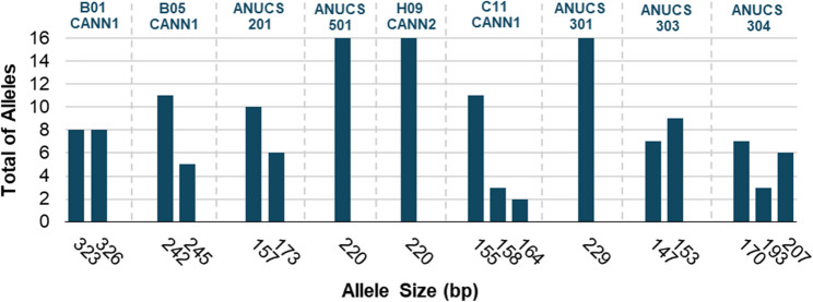 Summarized analysis of the distribution of allele sizes in base pairs (bp) detected across loci using SSR markers in capillary electrophoresis