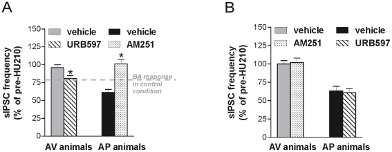 Electrophysiological effects of drugs acting on endocannabinoid system in avoiding (AV) and approaching (AP) mice.(A) The graph shows that treatment with URB597 was able to rescue the effect of the CB1 receptor agonist HU210 on sIPSC frequency in neurons from the AV animals. The HU210-induced inhibition of sIPSC frequency in AV+URB animals was comparable to that seen in BA animals. The treatment with the CB1 receptor antagonist AM251 fully abolished HU210 responses in AP mice. (B) The counterbalanced pharmacological manipulations between categories showed that in AV mice blockade of CB1 receptors with AM251 did not modify HU210 responses of GABAergic striatal neurons, while the treatment of AP animals with URB maintained the high sensitivity of striatal GABAergic synapses to HU210. Asterisks indicate the significance level of the comparisons between AV+URB vs. AV+VHL animals and AP+AM vs. AP+VHL animals: * P<0.05.