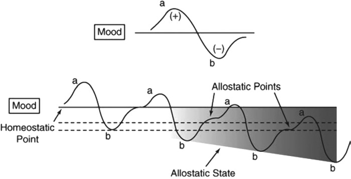 Opponent process theory.