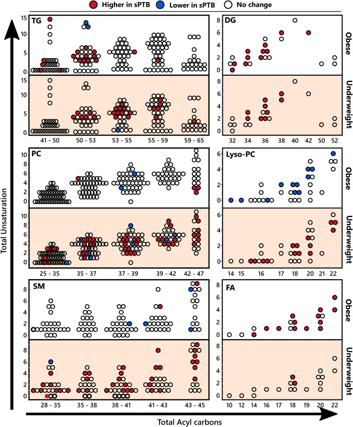 Serum complex lipids stratified by acyl chain length and number of double bonds.Differences in serum complex lipids between birth categories in obese and underweight women, stratified by acyl chain length and number of double bonds. Dots represent complex lipid species, and are positioned according to the total acyl chain unsaturation (y axis) and the total acyl chain length (x axis). Colors indicate significance and directionality of compared means (t-test p <0.05): red–higher in sPTB, blue–lower in sPTB, white–no change. TG–triglyceride; DG–diglyceride PS–phosphatidylserine; SM–sphingomyelin; FA–fatty acids. The number of detected individual complex lipids and the number of differences between sPTB and FTB for each chemical class are summarized in S5 Table. Means of individual lipids and corresponding p-values are provided in S3 Table.