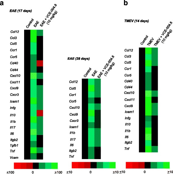 VCE-004.8 modulates gene expression in the spinal cord of EAE and TMEV-infected mice. Animals were treated as indicated, and total RNA was isolated. One microgram of RNA was retrotranscribed, and the resulting cDNA was analyzed in a mouse MS PCR array. Heat maps represent genes with significant upregulation (green) or downregulation (red) in EAE model (a) and TMEV-infected mice (b)