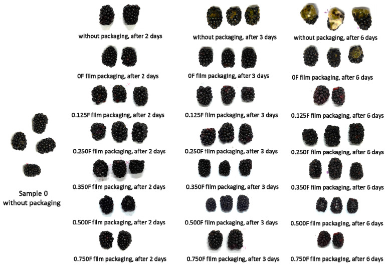 Images of fruit stored without packaging and after packaging in films and stored for 2, 3, and 6 days.