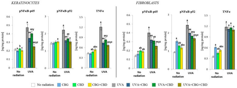 Effects of cannabigerol (CBG) (1 µM) or/and cannabidiol (CBD) (5 µM) on nuclear factor kappa-light-chain-enhancer of activated B cells (NFκB-p65 and NFκB-p52) and tumour necrosis factor-alpha (TNFα) generation in keratinocytes and fibroblasts exposed to UVA radiation (30 J/cm2 and 20 J/cm2, respectively). Mean values ± SD of five independent experiments are presented. The statistically significant differences in keratinocytes and fibroblasts are expressed as follows: a—indicates a comparison to the control group; p ≤ 0.05; b—indicates a comparison to the CBG group; p ≤ 0.05; c—indicates a comparison to the CBD group; p ≤ 0.05; x—indicates a comparison to the UVA radiation; p ≤ 0.05; y—indicates a comparison to the UVA+CBG (only in UVA part); p ≤ 0.05; z—indicates a comparison to the UVA+CBD; p ≤ 0.05.
