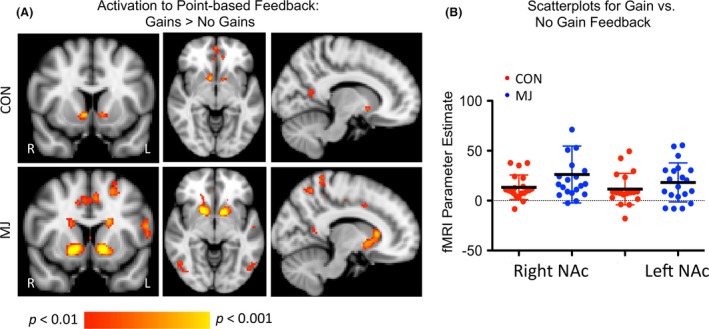 Activation during the feedback phase. (A) ROI‐based Comparison between Gains versus No Gains in the Feedback Phase. Scatterplot of NAc values for the contrast of Gains > No Gains from ROI analysis. There was a trend‐level interaction between group and activation to reward, with MJ showing slightly larger increases in response to gains than controls. (B) Voxelwise Comparison between Gains versus No Gains in the Feedback Phase. Both groups demonstrated significant activation of the NAc during notification of gains. Images are thresholded at P < 0.01, uncorrected. The localization of activation during the feedback phase was posterior in the NAc relative to activation related to the choice phase.