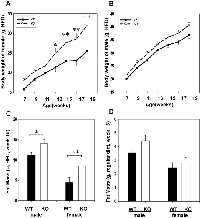 GPR26 deficiency causes early onset of diet-induced obesity.GPR26−/− mice (KO) and the wild type controls (WT) at the 7 weeks of age were fed a regular chow or a high fat-diet (HFD) for 12 consecutive weeks. (A–B), body weight were analyzed weekly from female (A) and male (B) mice during 12 weeks of high fat feeding. (C–D), fat masses were analyzed after 12 weeks of high fat feeding (C) or regular chow (D) by quantitative nuclear magnetic resonance (QMR) using an Echo System instrument. N = 8, *p<0.05, **p<0.01 when compared with wild type controls.
