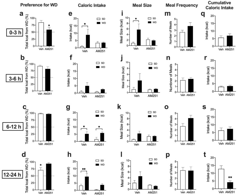 Cannabinoid CB1Rs control acute preferences for Western Diet. Veh = vehicle treatment; AM251 = 3mg per kg; SD = standard rodent chow; WD = western diet. Unpaired Student’s t-test, two-tailed (a–d,m–t); Two-way ANOVA with Holm-Sidak’s multiple comparison tests (e–l); * p < 0.05, ** p < 0.01. Results are expressed as means ± S.E.M; n = 7–8 per condition.