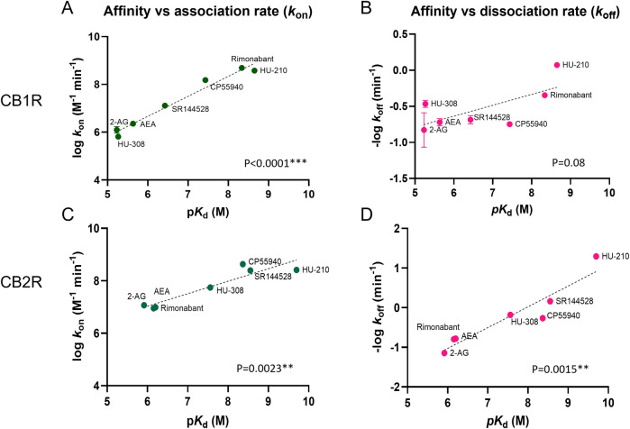 Correlation plots of equilibrium and kinetic parameters of cannabinoid compounds at CB1R and CB2R. Correlation between negative logarithmic transformation of affinities (−log K d) and logarithmic (A) association rate (log k on) and (B) dissociation rate (log k off) for CB1R ligands. Correlation between negative logarithmic transformation of affinities (−log K d) and logarithmic (C) association rates (log k on) and (D) dissociation rates (log k off) for CB2R ligands. Correlation analysis was carried out using a Pearson correlation analysis (two-tailed). Data shown are the mean and SEM of four independent experiments.