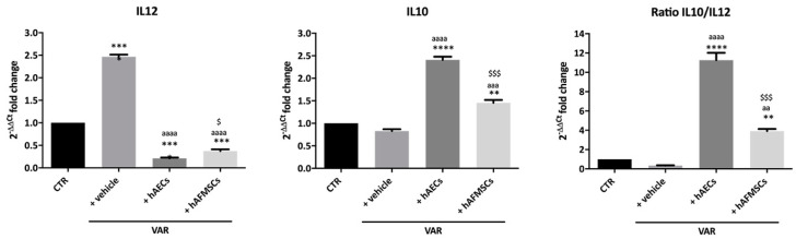Proinflammatory (IL12) and anti-inflammatory (IL10) cytokines gene expression analysis in VAR-induced rats. IL12 and IL10 qRT-PCR analysis and relative ratio carried out in testes of CTR, +vehicle, +hAECs and +hAFMSCs animal groups. Values statistically different for ** p < 0.01, *** p < 0.001 and **** p < 0.0001 vs. CTR; aa p < 0.01, aaa p < 0.001 and aaaa p < 0.0001 vs. +vehicle; $ p < 0.05 and $$$ p < 0.001 hAFMSCs vs. hAECs.
