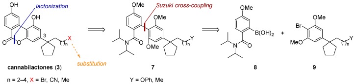 Retrosynthetic analysis of cannabilactones.