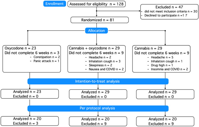 Consort flow diagram.
