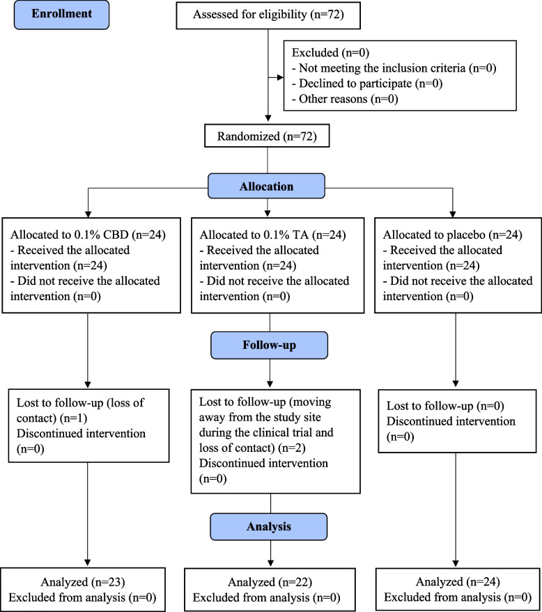 A diagram of the participant flow in phase 3 according to CONSORT guidelines