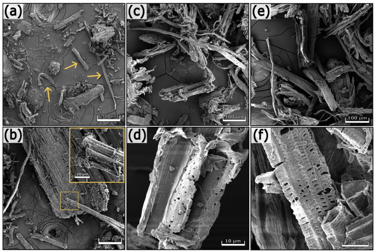SEM images of hemp waste (a,b), hemp 1 (c,d), and hemp 2 (e,f) at different magnifications.