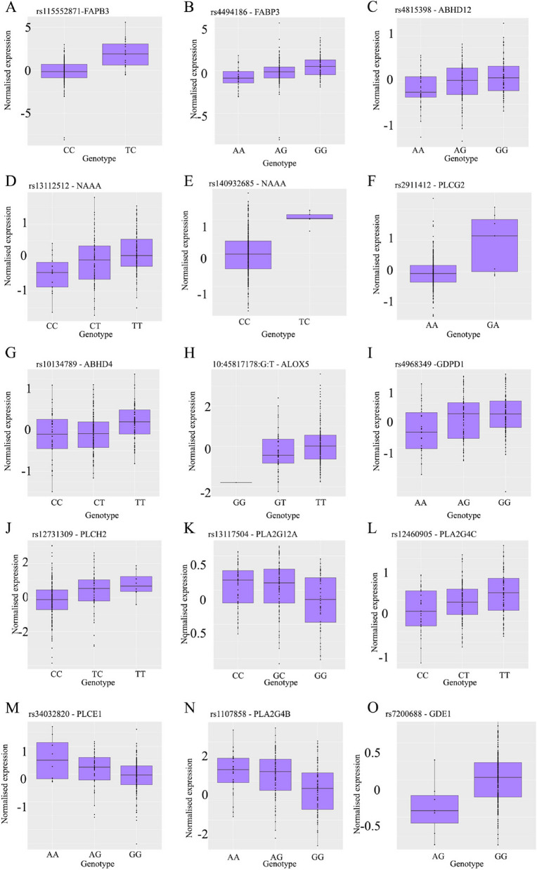 Genetic effects on normalized gene expression for 2 Bonferroni and 13 FDR significant eQTLs identified in the endometrial tissue. A genome-wide Bonferroni significant eQTL was identified for A) rs115552871- FAPB3, with subsequent FDR significant eQTLs observed for B) rs4494186- FAPB3, C) rs4815398-ABHD12, D) rs13112512-NAAA, E) rs140932685, F) rs2911412-PLCG2, G) rs10134789, H) 10:45817178G:T -ALOX5, I) rs4968349, J) rs12731309 K) rs13117504 = PLA2G12A, L) rs12460905, M) rs34032820, N) rs1107858, rs7200688-GDE1