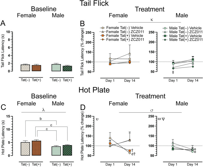 Effect of acute and chronic ZCZ011 treatment (10 mg/kg) on spontaneous evoked nociception.(A) Baseline tail flick latency (s) for female and male mice before starting drug treatment. No significant differences were found in the tail flick latency for mice based on sex or genotype. (B) Tail flick latency is represented as percent change from baseline, set at 100%, after acute and chronic vehicle or ZCZ011 treatment. A main effect of time was noted after chronic ZCZ011 treatment. (C) For baseline hot plate latency (s) females showed higher latency to withdraw paws as compared to males. (D) Significant effects were noted for hot plate latency, represented as percent change from baseline, set at 100%, after acute and chronic vehicle or ZCZ011 treatment. All data are expressed as mean ± the standard error of the mean (SEM). Statistical significance was assessed by overall ANOVAs; κp = 0.01 main effect of time; λp <0.001 main effect of sex; σp = 0.008 main time x drug interaction. Separate ANOVAs for females and males; υp = 0.006 time x drug interaction for females; ωp = 0.005 main time effect for males; Ψp = 0.04 time x genotype interaction for males. Follow-up Tukey’s post hoc tests; bp = 0.04 baseline Tat(–) males vs baseline Tat(–) females; cp < 0.05 baseline Tat(+) females vs baseline Tat(–) and Tat(+) males; dp = 0.02 acute vs. chronic vehicle-treated females on day 14; ep < 0.05 vehicle and ZCZ011-treated Tat(–) males on Day 1 vs. Day 14. One-sample t-test; ‡p <0.05 ZCZ011-treated Tat(+) males vs. baseline (100%), †p <0.05 vehicle-treated Tat(–) and Tat(+) females vs. baseline (100%). ZCZ011 dose = 10 mg/kg. N = 32(16f).