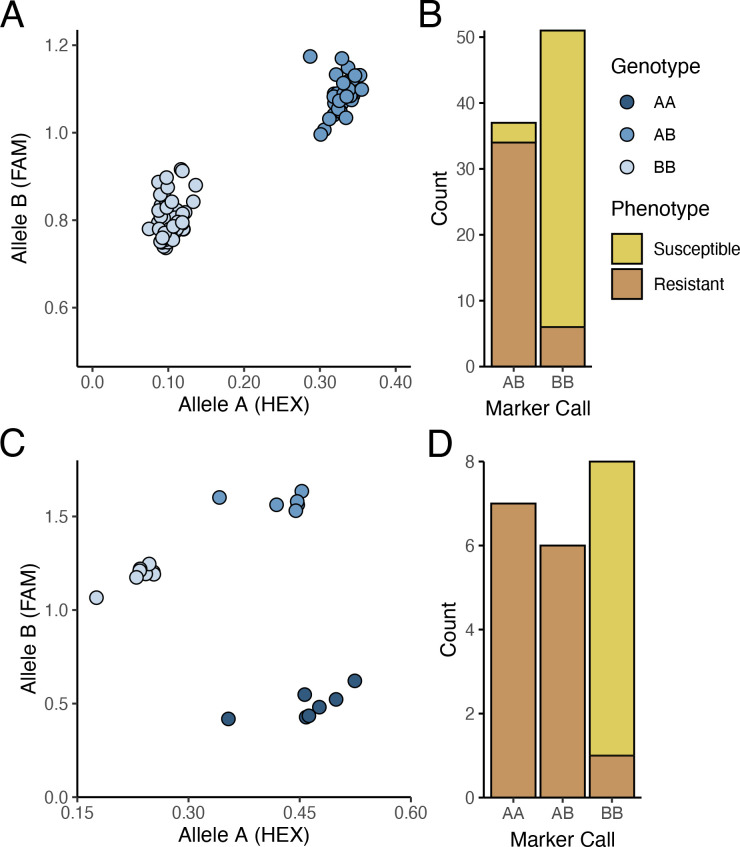 PACE results for marker MR110 tracking PM2 mediated resistance. (A) Segregation of AB (resistant) and BB (susceptible) alleles in W03xAC F1 genotypes. Results depict 1 of 2 independent qPCR runs testing marker MR110. (B) Accuracy of marker MR110 on the F1 population from (A). Of the 37 F1 progeny genotyped as AB, 34 plants were resistant to PM (91.9%). Fifty-one F1 progeny were genotyped as BB, with 45 of them susceptible to PM (88.2%). (C) Segregation of AA (resistant), AB (resistant), and BB (susceptible) alleles in W03 S1 population. (D) Accuracy of marker MR110 on the S1 population from (C). Of the 7 S1 plants genotyped as AA and 6 S1 genotyped as AB, all were resistant to PM. Eight S1 plants were genotyped as BB with all but 1 plant being susceptible to PM (87.5%).