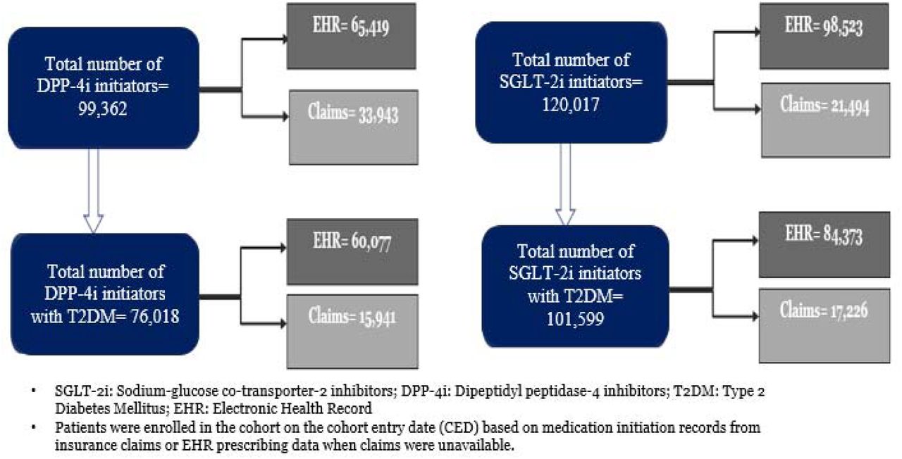 Final cohort of DPP-4i and SGLT-2i initiators with type 2 diabetes mellitus along with data source (EHR versus claims)