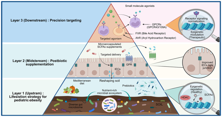 Infographic illustrating a pyramid model with three layers for pediatric obesity intervention strategies. The base depicts lifestyle strategies like the Mediterranean diet and prebiotics supporting a diverse gut microbiome, with a close-up on healthy epigenetic regulation. The middle layer shows postbiotic supplementation, including targeted delivery of microencapsulated SCFAs and improved intestinal epithelial cell tight junctions. The top layer focuses on precision targeting with small molecule agonists acting on specific gut receptors, aiming for receptor signaling normalization and therapeutic epigenetic modulation.