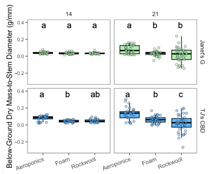 Below-ground biomass-to-stem diameter (g/mm) was compared across propagation systems—aeroponics, rockwool, and (Horticultural) foam—using Cannabis sativa L. Stem diameter was taken into account in mass measurements by dividing below-ground masses by stem diameter. To refine the measurement of biomass, the average weights of dry test samples—0.77 g from foam and 1.49 g from rockwool—were subtracted from the total dry masses on day 21, where media could not be separated from the roots. This adjustment allows for a more accurate comparison of the actual plant biomass across the different propagation systems. Mean separation across propagation systems is indicated with letters, using Tukey’s Honest Significant Difference at p < 0.05.