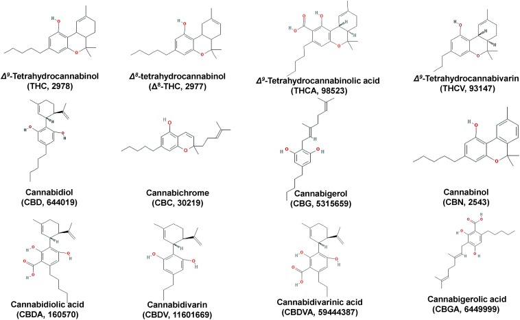 Chemical structures of major Cannabis (Cannabis sativa L.) cannabinoids.