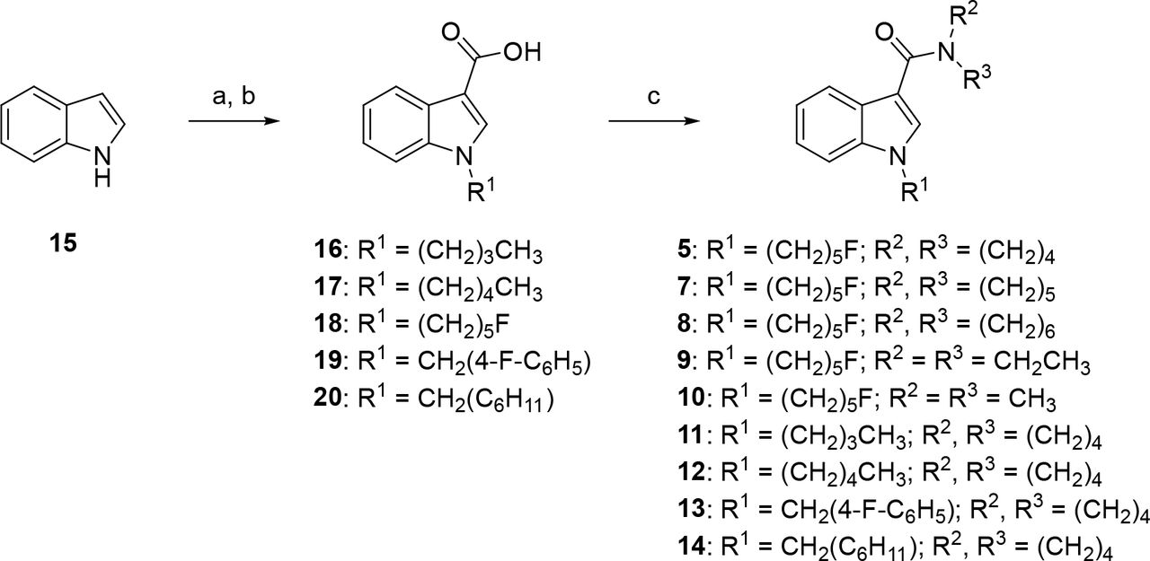 Reagents and conditions: (a)(i) NaH, R1Br, DMF, 0 °C-rt, 1 h; (ii) (CF3CO)2O, 0 °C-rt, 1 h; (b) KOH, MeOH, PhMe, reflux, 2 h, 45-66% over 3 steps; (c) (COCl)2, DMF (cat.), CH2Cl2, 0 °C-rt, 2 h; (d) R2R3NH, Et3N, CH2Cl2, 0 °C–rt, 14 h, 63-89%.