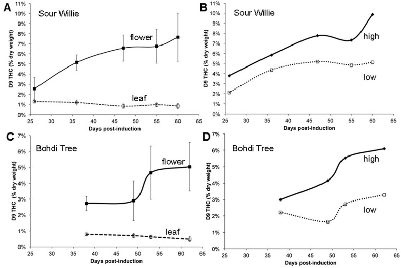 Accumulation of Δ9-THC in organs of Sour Willie or Bohdi Tree following floral induction.Δ9-THC levels in samples collected from Sour Willie (A, B) or Bohdi Tree (C, D) at days post-induction are represented. Panels A and C report average (n = 3) Δ9-THC levels in floral samples (solid line) and leaf samples (dotted line). Panels B and D report Δ9-THC levels in floral samples from the top of the plant (solid) or bottom of the plant (dotted line).
