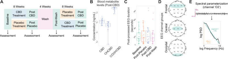 Overview of study design and spectral parameterization approach.A Schematic representation of data included in our analyses, comprising four study time points for EEG, blood draws, and cognitive-behavioral assessments. B Concentration of metabolite levels in blood post-CBD treatment. C Duration of post-processed EEG traces across study time points. D Schematic of electrodes and electrode groups used in this study. E Representative power spectrum of EEG channel ‘O2’ alongside extracted aperiodic exponent and offset values.