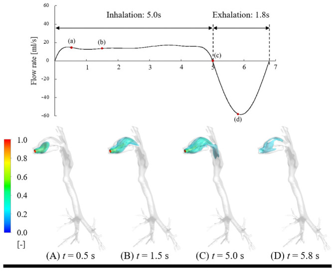 Time evolution of isosurfaces of firsthand THC concentration in respiratory tract under long puff.