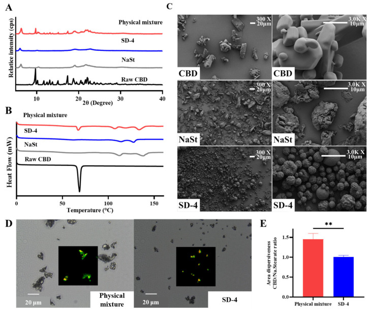 Physicochemical characterization of raw cannabidiol (CBD), sodium stearate (NaSt), physical mixture, and SD-4 formulation showing (A) X-ray diffraction patterns, (B) differential scanning calorimetry thermograms, (C) scanning electron microscopy images at ×300 and ×3000 magnification, (D) Raman mapping images, and (E) distribution ratios of CBD and NaSt analyzed by Student’s t-test (** p < 0.01).