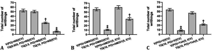 Total number of writhings over a 60-min period after oral administration (PO) of thymoquinone (TQ; A), intracerebroventricular (ICV) injection of N-(piperidin-1-yl)-5-(4-iodophenyl)-1-(2,4-dichlorophenyl)-4-methyl-1H-pyrazole-3-carboxamide (AM251; B) and yohimbine (Yoh; C) alone and after TQ administration in acetic acid model of visceral nociception. The TQ was administered orally 45 min and AM251 and Yoh were injected ICV 5 min before intra-peritoneal injection of acetic acid. † p < 0.01 and ‡ p < 0.001 in comparison with V (PO) + NS (ICV). V: Vehicle; NS: Normal saline; DMSO: Dimethyl sulfoxide
