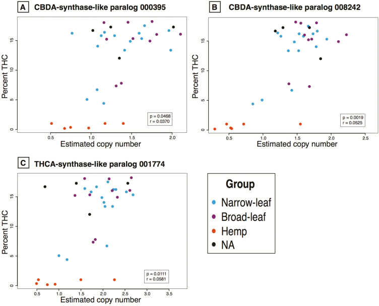 Correlations between the percent THCA and the estimated CN for three CBDA/THCA synthase paralogs. The two CBDAS-like genes (panels A and B) and the one THCAS-like gene (panel C) are positively and significantly correlated at the P < 0.05 level to the percent THCA. Correlation coefficient and P-values in the inset after correction for relatedness. All correlation values between all genes and all cannabinoids are given in Supporting Information—Tables S5 and S6, respectively.