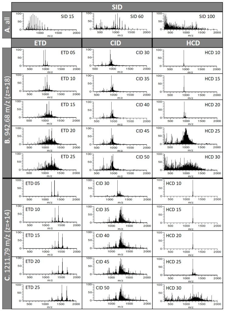 Fourier-transform Orbitrap (FTMS) and FTMS/MS spectra from infused myoglobin. (A) Fragmentation of all ions by source-induced dissociation (SID); (B) fragmentation of ion 942.68 m/z (z = +18) by electron transfer dissociation (ETD), collision-induced dissociation (CID), and higher-energy collisional dissociation (HCD); (C) fragmentation of ion 1211.79 m/z (z = +14) by ETD, CID, and HCD.