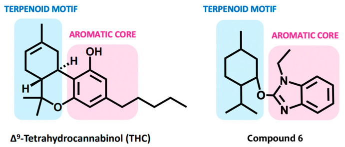 THC and a representative compound from the synthesized series as a combination of a cyclic terpenoid and an aromatic core.
