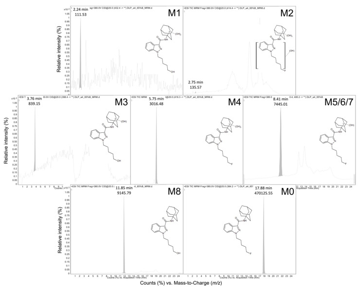 Extracted ion chromatograms from the total ion scan for all analytes. We resolved and analyzed metabolites from a 200 μM 5F-APINACA reaction to characterize their structures using an Agilent Technologic 1290 Infinity HPLC equipped with a 6490 Triple Quad MS. The above figure shows the extracted ion chromatograms from the total ion scan for all analytes. Subsequent MRM analysis of each analyte yielded fragmentation patterns indicated in Figure 2 and summarized in Table 1. M5 and M7 were visualized by MRM analysis but could not be visualized in the TIC due to poor signals. Signature ions are summarized in Table 1 and were used in the assignment of putative structures as described by previously [8,10,20].