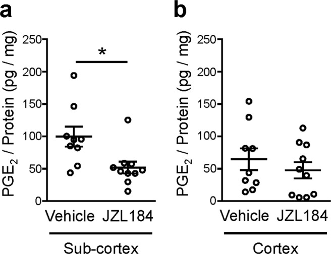 JZL184, an inhibitor for MAGL, suppresses social defeat stress-induced PGE2 synthesis in subcortical tissues. The PGE2 contents in subcortical (a) and cortical (b) tissues of wild-type mice treated with vehicle or JZL184 (40 mg/kg, i.p.) at least 60 min prior to single SDS. Brains were obtained immediately after single SDS and subjected to the PGE2 measurement. *P < 0.05 for unpaired t test. Data are shown as means ± SEM.