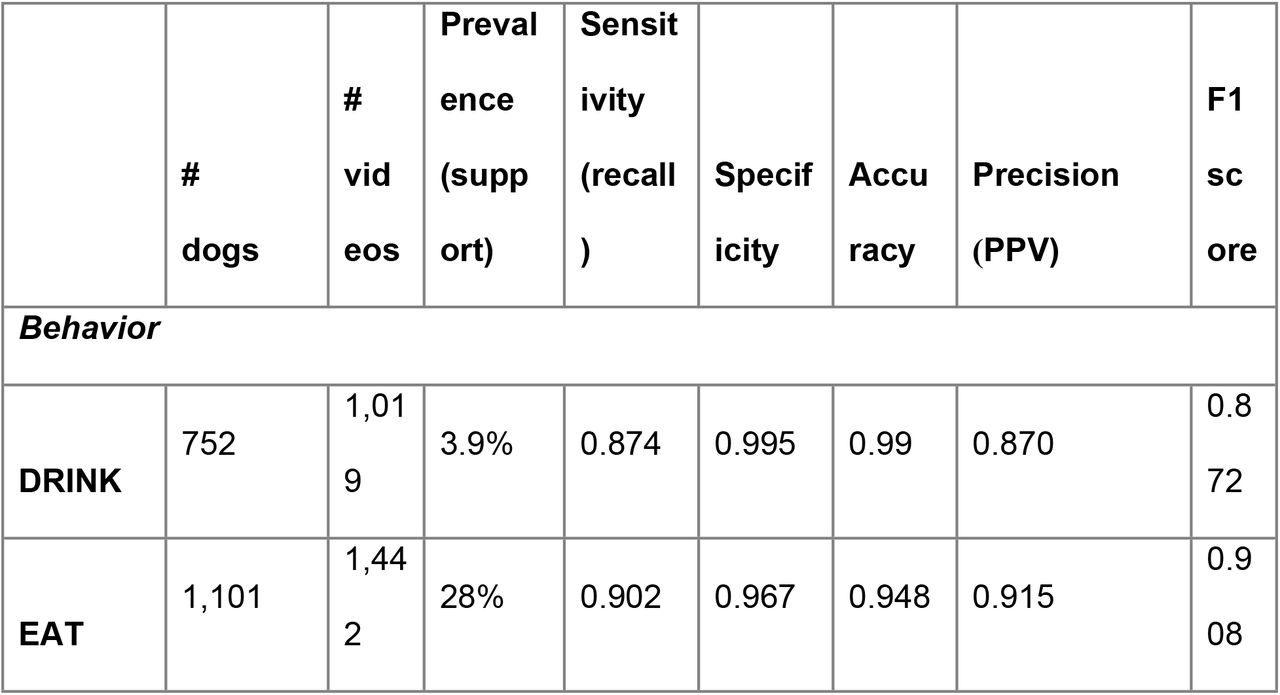 Classification metrics for the crowd dataset.