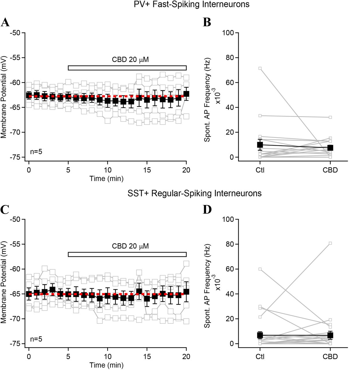 Cannabidiol has no affect the membrane potential or spontaneous firing rate of PV-or SST-INsA, Membrane potential recorded continuously before and during CBD application in PV+ fast-spiking interneurons. Individual neurons are shown in with their average in black and the red dashed line shows the average for the initial 5 minutes. (MAKE SURE? Seems off) B, Spontaneous AP frequency in control and following the application of CBD for PV-INs. C, Current-clamp recordings showing the membrane potential of SST-INs during the application of CBD. D, Spontaneous firing rate of SST-INs before and after CBD application. Data points show mean ± SEM.
