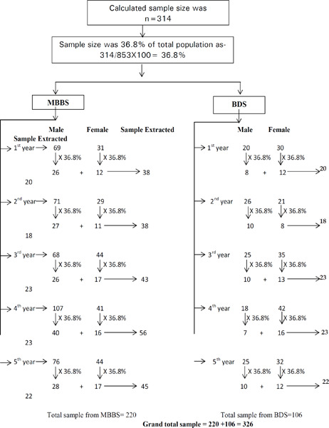 Scientific figure