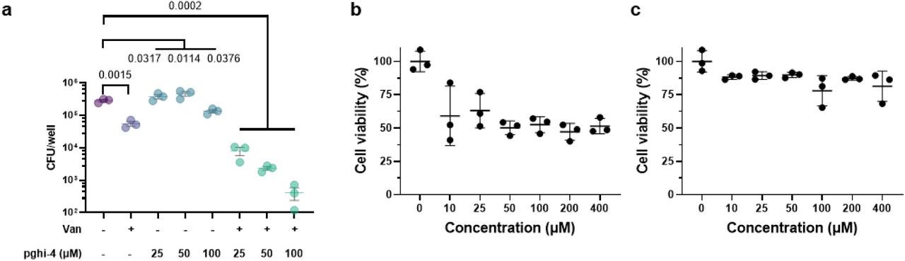 a, CFU analysis of VREfm-infected THP-1 cells treated with vancomycin (100 µg/mL), pghi-4 alone or in combination. Data are mean ± S.E.M. and analyzed by analyzed with one-way ANOVA and Tukey’s multiple comparison post-test, p values are indicated, n=3 biological replicates. b, Cytotoxicity of pghi-4 on RAW264.7 cells assessed by WST-8 assay. c, Cytotoxicity of pghi-4 on THP-1 cells assessed by WST-8 assay. For b and c, data are mean ± S.D., n=3 biological replicates.