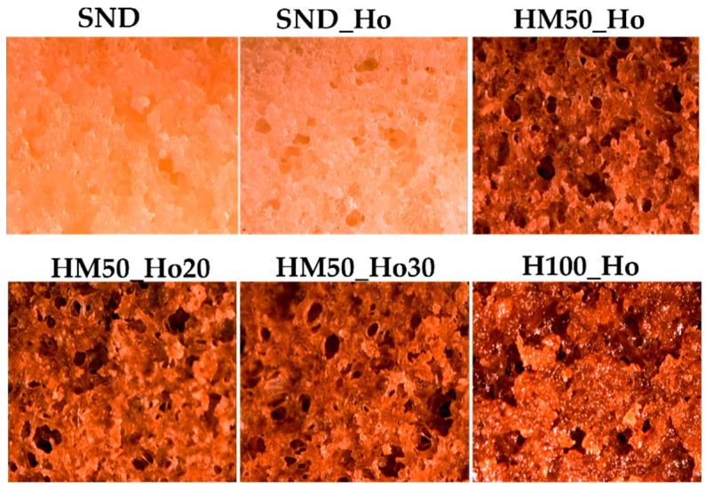 Stereoscopic images for all samples for the crumb section of cupcakes. SND is the standard sample; SND_Ho is the formulation standard with hemp oil (Ho); HM50_Ho is the formulation with hemp flour (H) and maize starch (M); HM50_Ho20 is the formulation HM50_Ho with hemp oil reduction of 20%; HM50_Ho30 is the formulation HM50_Ho with hemp oil reduction of 30%; H100_Ho is the formulation with hemp flour (H) and hemp oil (Ho).