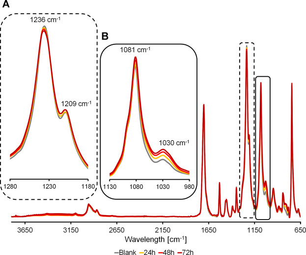 FT-IR spectra of partially hydrolyzed PPeTF films. Samples were treated with Thc_cut1 at 65°C for 48 h. Spectra have been normalized with respect to the intensity of the peak at 1703 cm−1. A: magnification of peaks correlated to the stretching of the C-O bond of a primary alcohol and B: magnification of peaks correlated to the stretching of the ester bond.