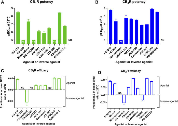 A direct comparison of CB1R and CB2R activation/inhibition potency and efficacy estimates for test compounds obtained at 28°C in the Gi-CASE membrane assay. Compound pEC50 values obtained in (A) CB1R- and (B) CB2R-expressing Gi-CASE membranes. Compound intrinsic activity measures (efficacy) expressed as fractional change in the basal BRET ratio at (C) CB1R and (D) CB2R. The dashed line in A and B is the lower limit of potency detection with values below this level not determined (ND). Data are presented as mean ± S.E.M. from three or more experiments.