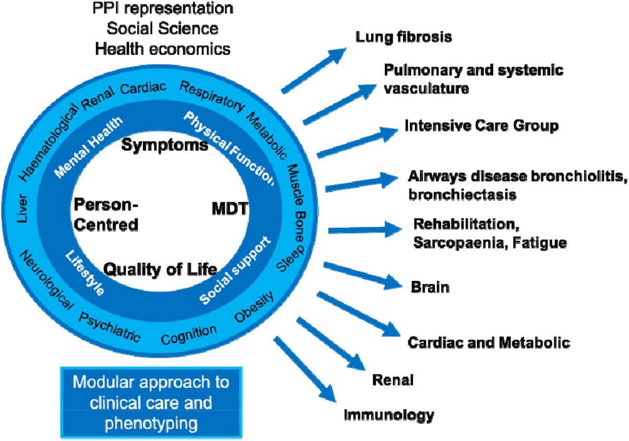 Modular approach to the clinical care and phenotyping with the PHOSP-COVID consortium different working groups.MDT=Multidisciplinary team. PPI=Patient and public involvement.