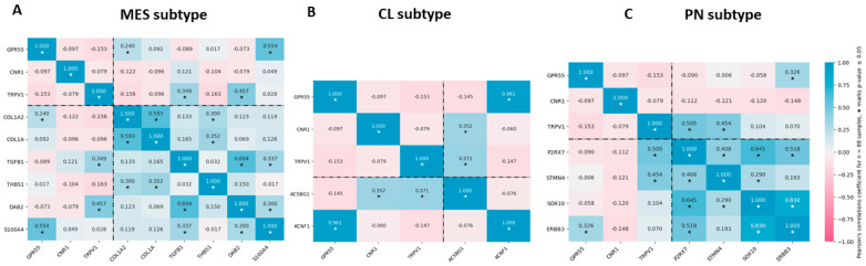 Correlation matrix of GPR55, CNR1, and TRPV1 with MES, CL, and PN markers. Behnan et al. [38] suggested the following markers: (A) MES (COL1A2, COL1A, TGFBI, THBS1, DAB2, and S100A4), (B) CL (ACSBG1 and KCNF), and (C) PN (P2RX7, STMN4, SOX10, and ERBB3). GPR55 correlated with MES markers COL1A2 (r = 0.24) and S100A4 (r = 0.55), very strongly with CL marker KCNF1 (r = 0.96), and poorly with PN marker ERBB3 (r = 0.33). CNR1 did not markedly correlate with any of these markers. TRPV1 correlated with MES markers DAB2 (r = 0.46) and TGBF1 (r = 0.35), CL marker ASCBG1 (r = 0.37), and most highly with PN markers P2RX7 (r = 050) and STMN4 (r = 045). The star under the correlation number (r) between the two genes in the boxes, means that the correlation was significant ( p < =0.05) n ® (* p < 0.05).